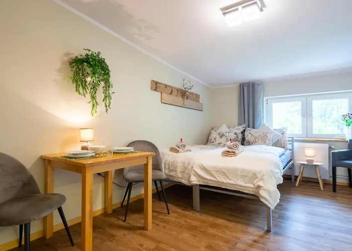 Apartment Zaciszne Centrum *