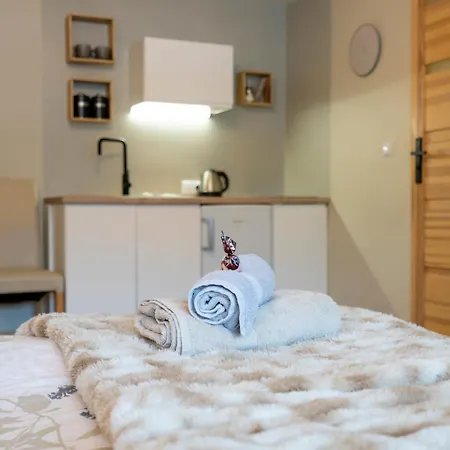 Zaciszne Centrum Apartmán *
