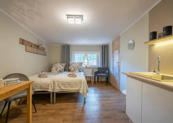 Zaciszne Centrum Apartament *