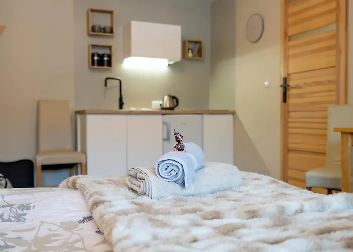 Zaciszne Centrum Apartament *