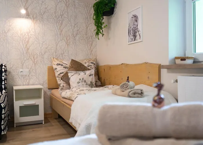 Apartament Zaciszne Centrum *