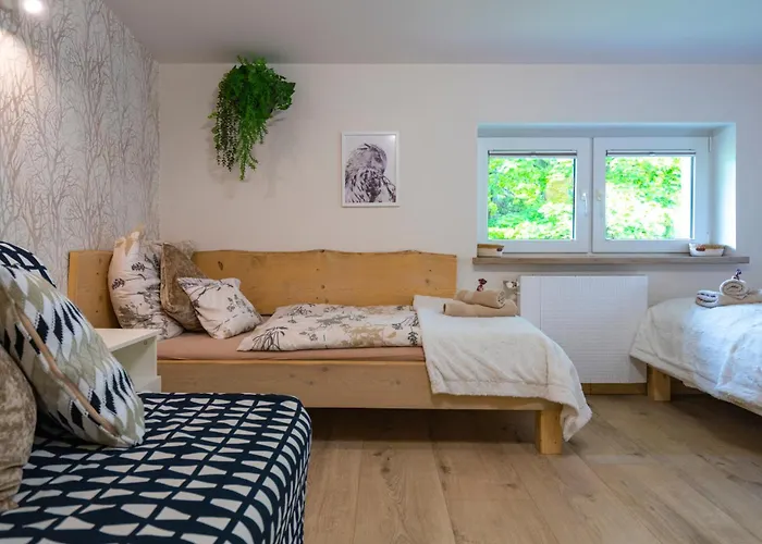 Zaciszne Centrum Apartament *